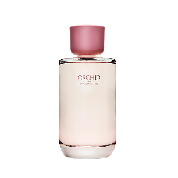 خرید و قیمت ادکلن زارا Orchid