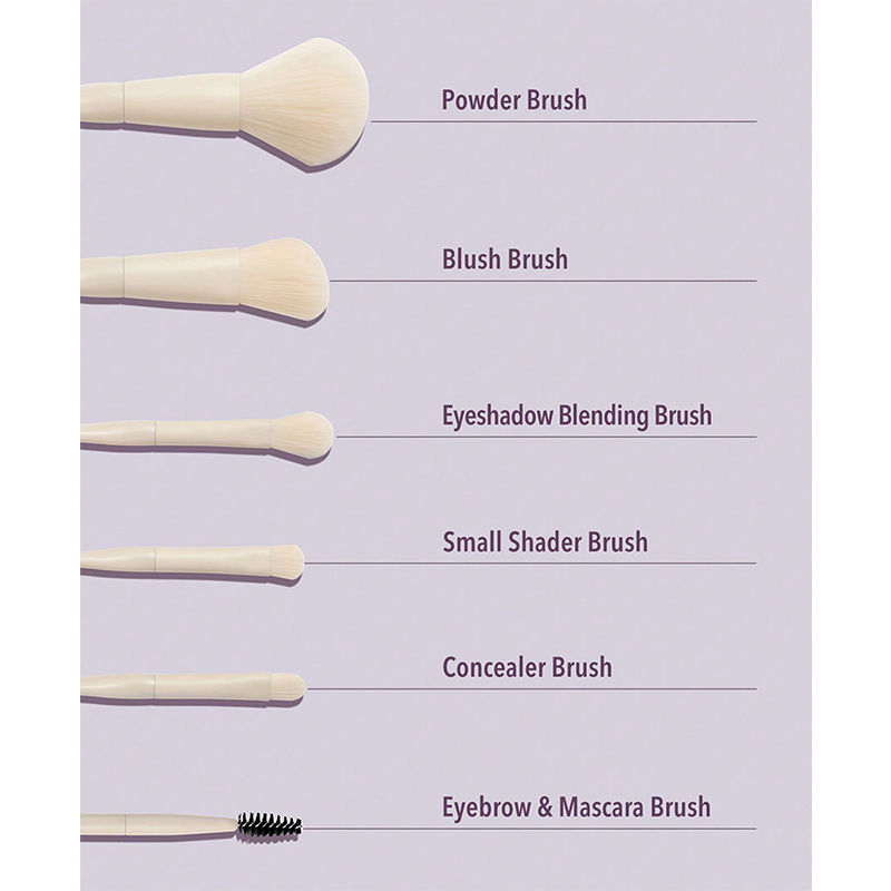 خرید و قیمت ست براش 8 عددی شیگلم Pro Core