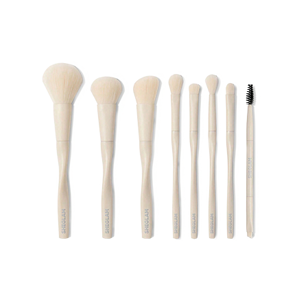 ست براش 8 عددی شیگلم Pro Core