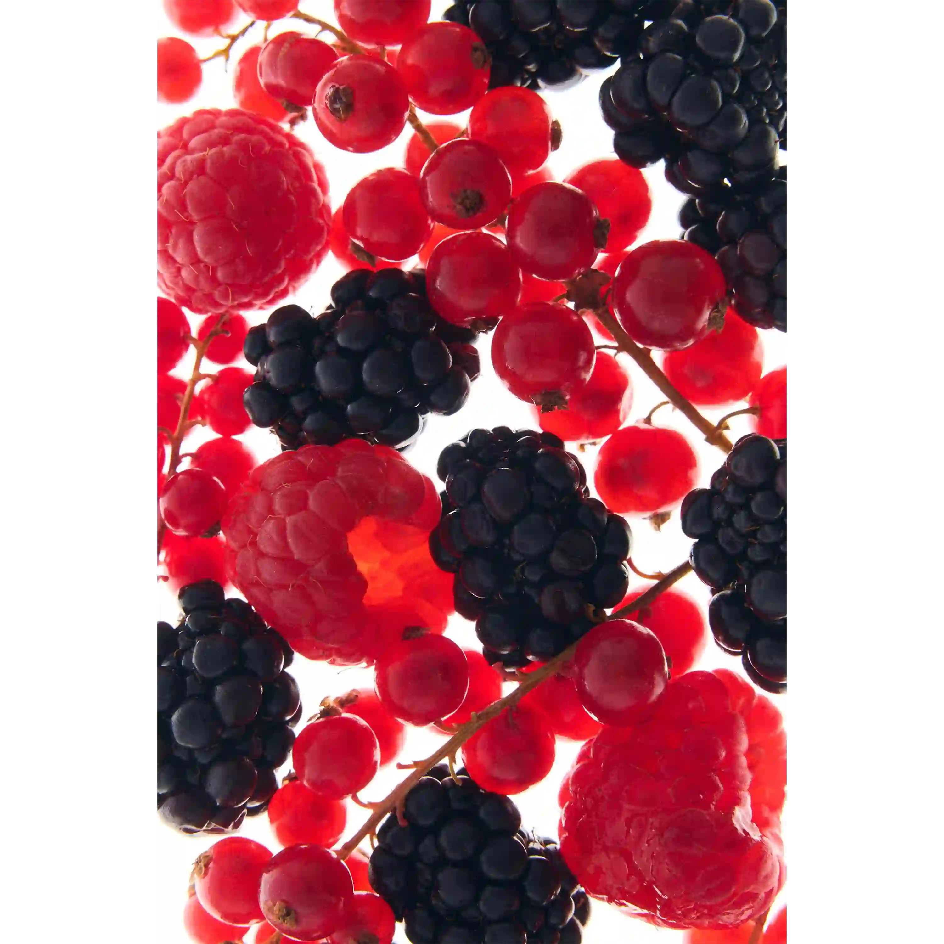 خرید و قیمت ادكلن زارا Zara Berry Nightfall Night Collection 90ml