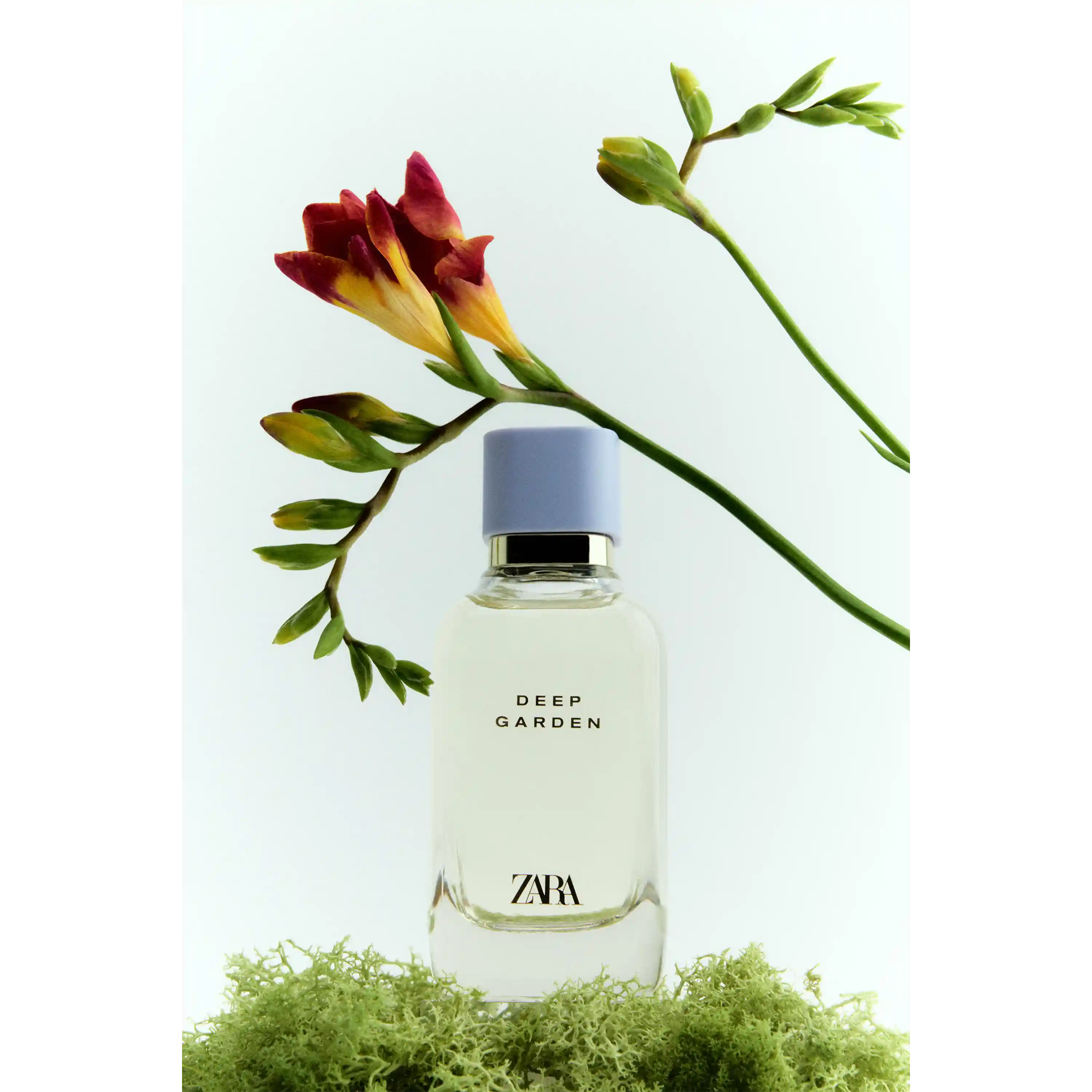 خرید و قیمت ادكلن زارا Zara Deep Garden 100ml