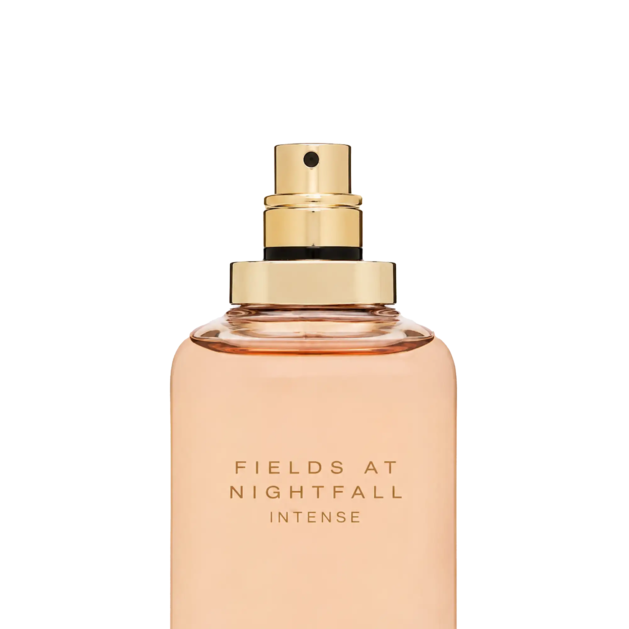 خرید و قیمت ادكلن زارا Zara Fields At Nightfall Intense 100ml