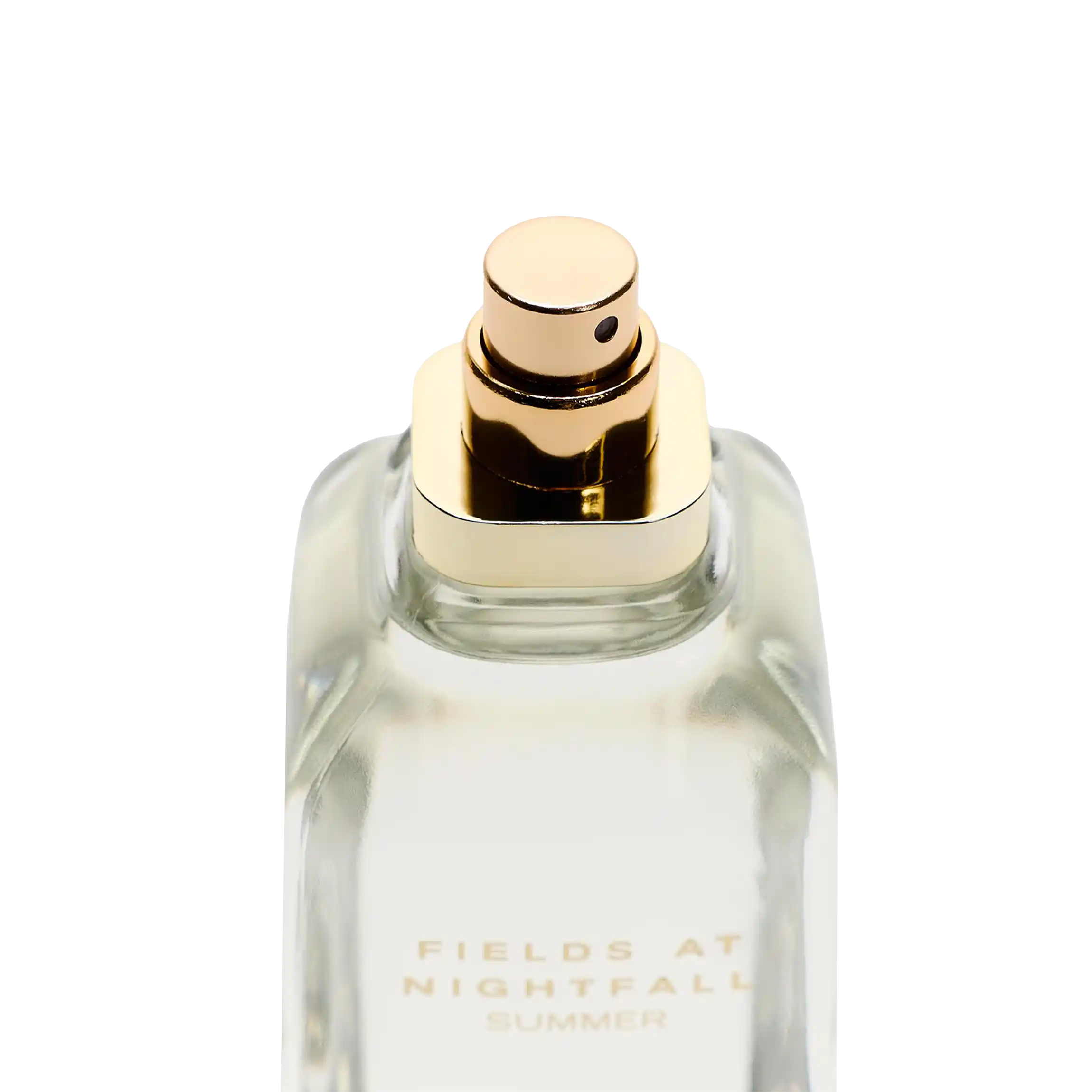 خرید و قیمت ادكلن زارا Zara Fields At Nightfall Summer 100ml