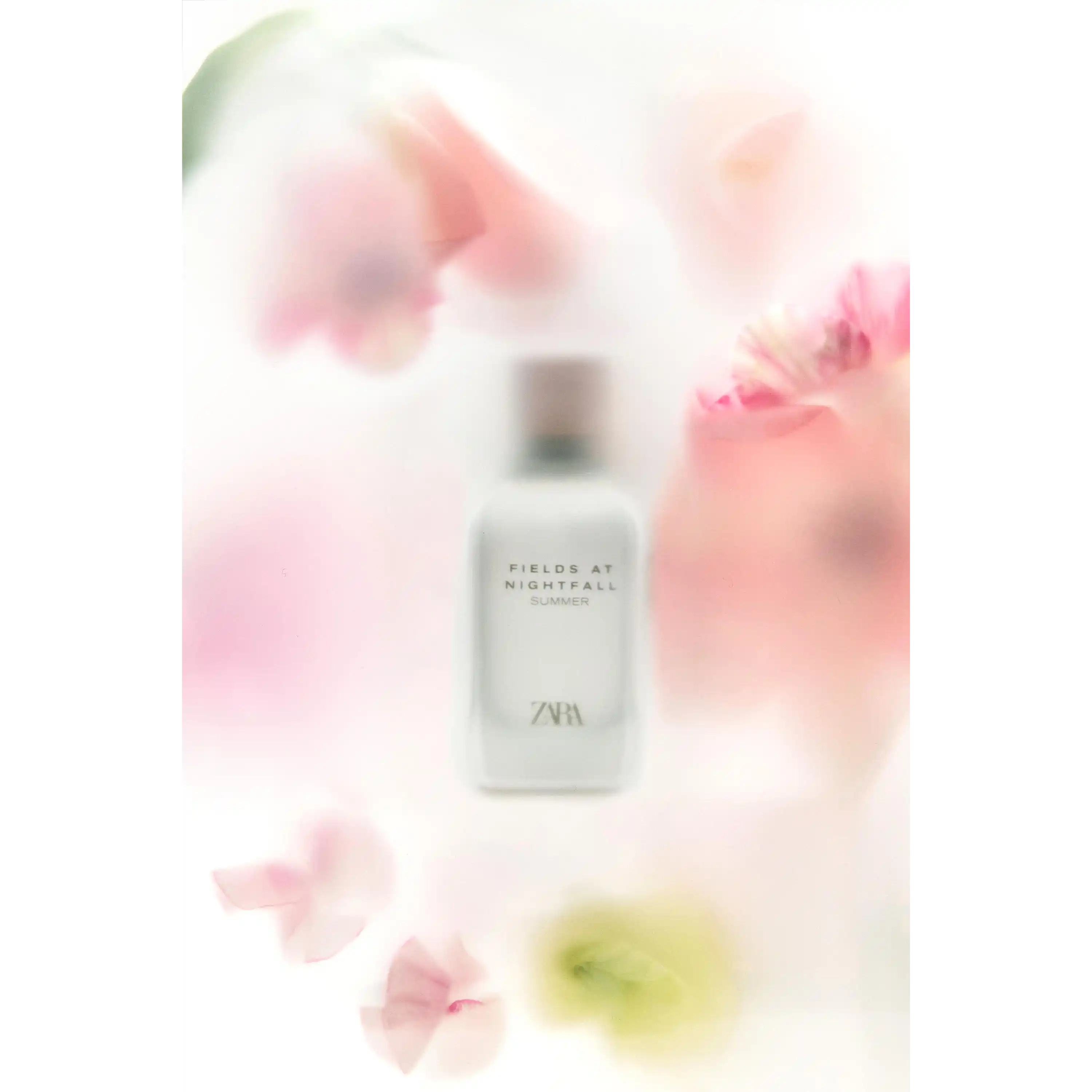 خرید و قیمت ادكلن زارا Zara Fields At Nightfall Summer 100ml