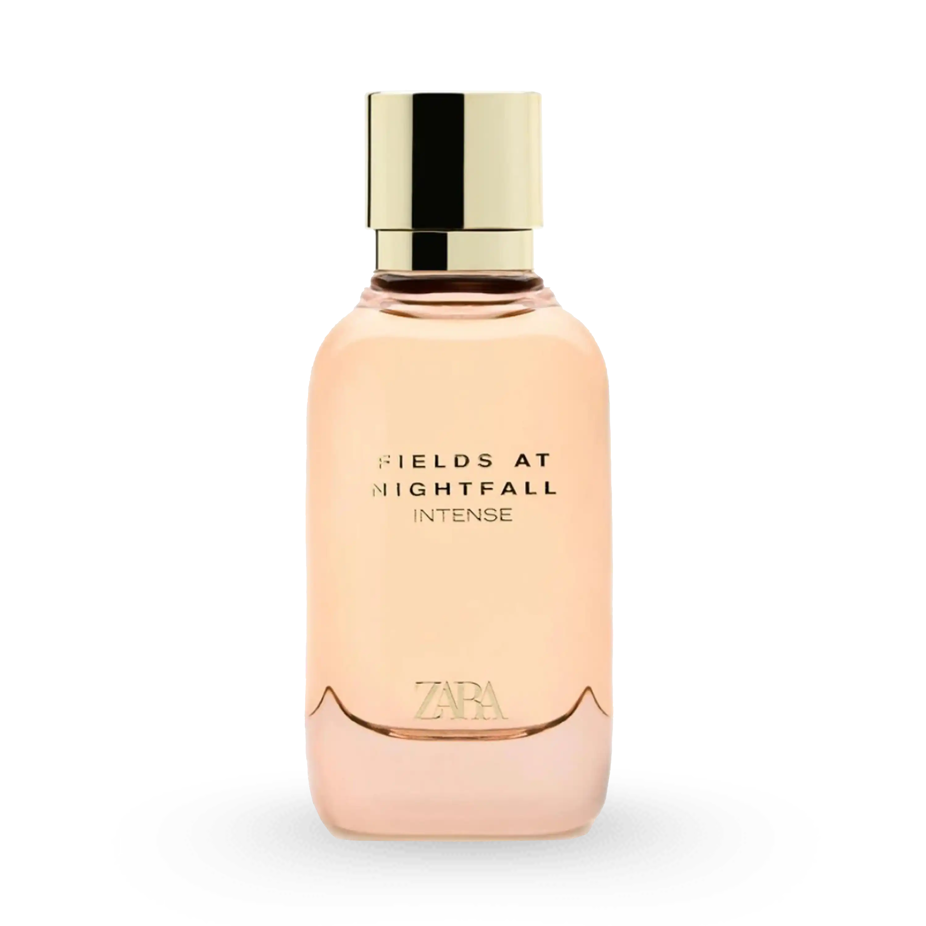 خرید و قیمت ادكلن زارا Zara Fields At Nightfall Intense 100ml