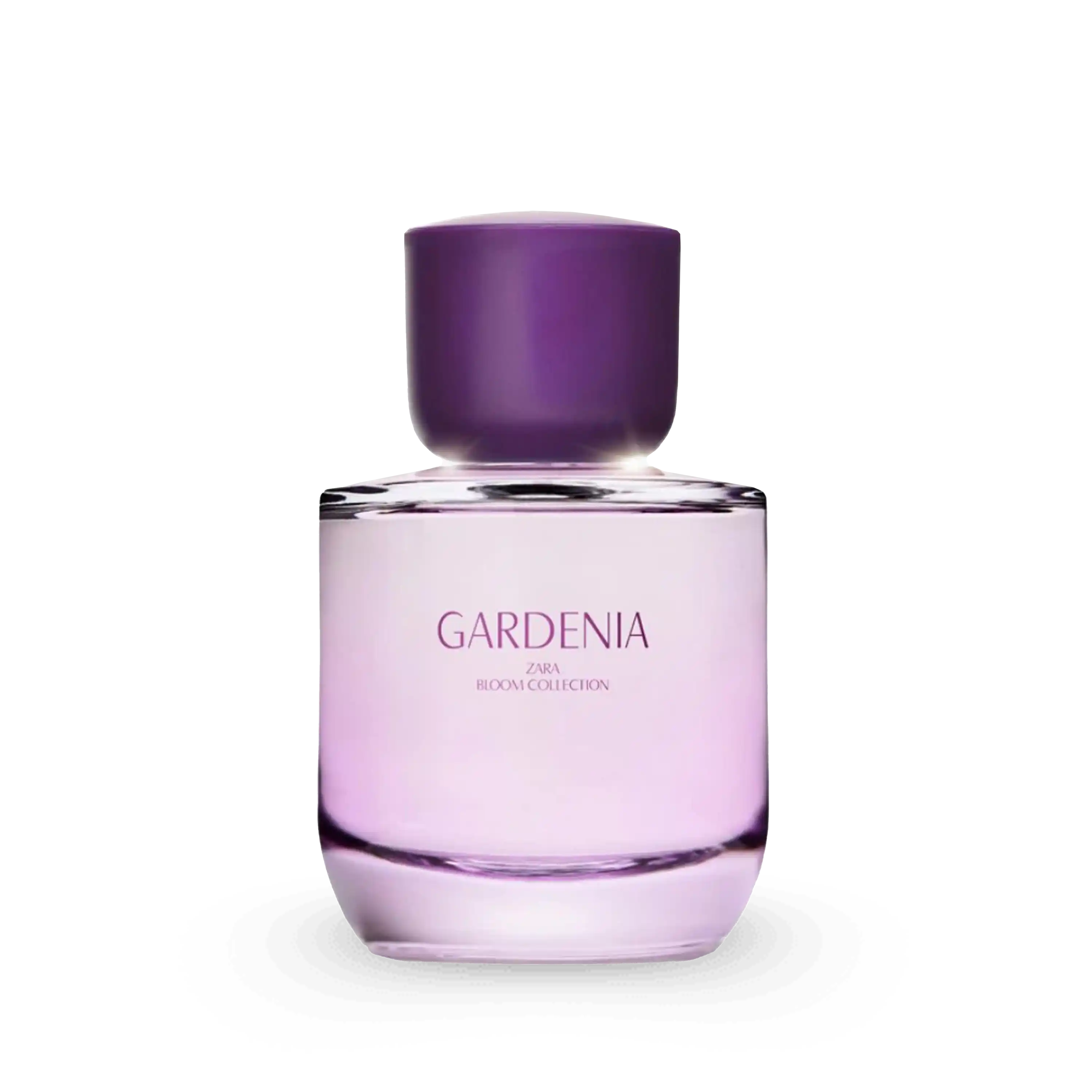 خرید و قیمت ادكلن زارا Zara Gardenia Bloom Collection 90ml