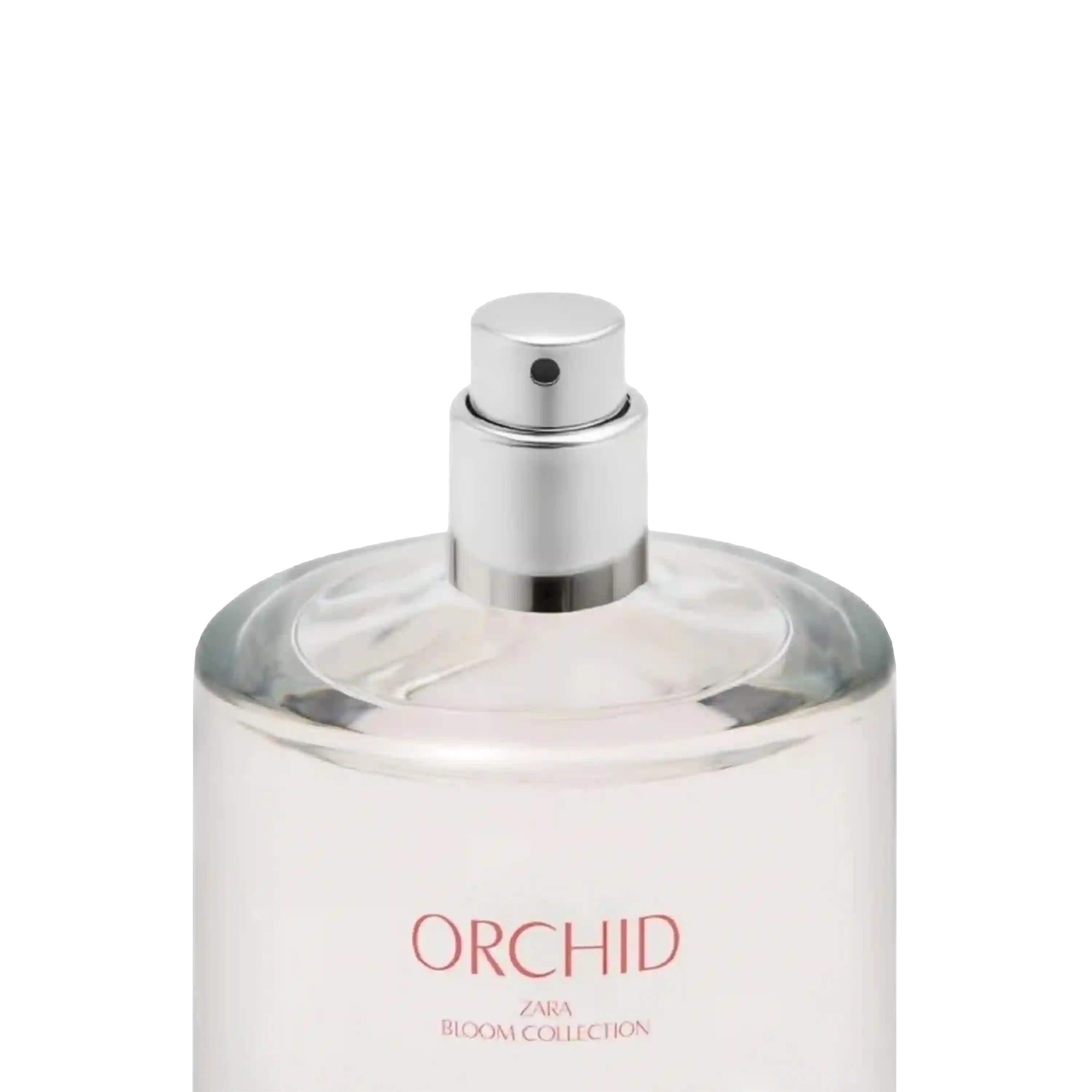 خرید و قیمت ادكلن زارا Zara Orchid Bloom Collection 90ml