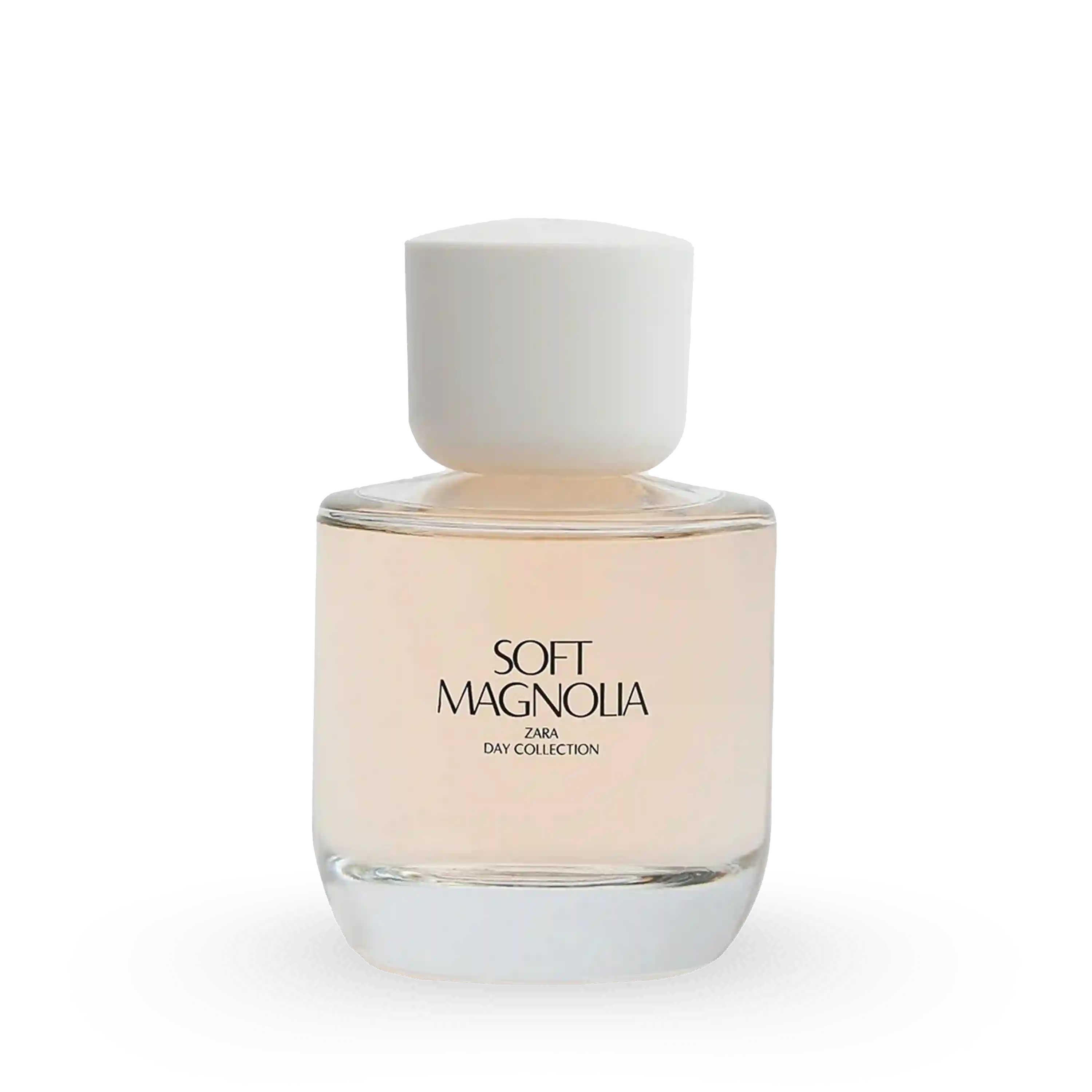 خرید و قیمت ادكلن زارا Zara Soft Magnolia Day Collection 90ml