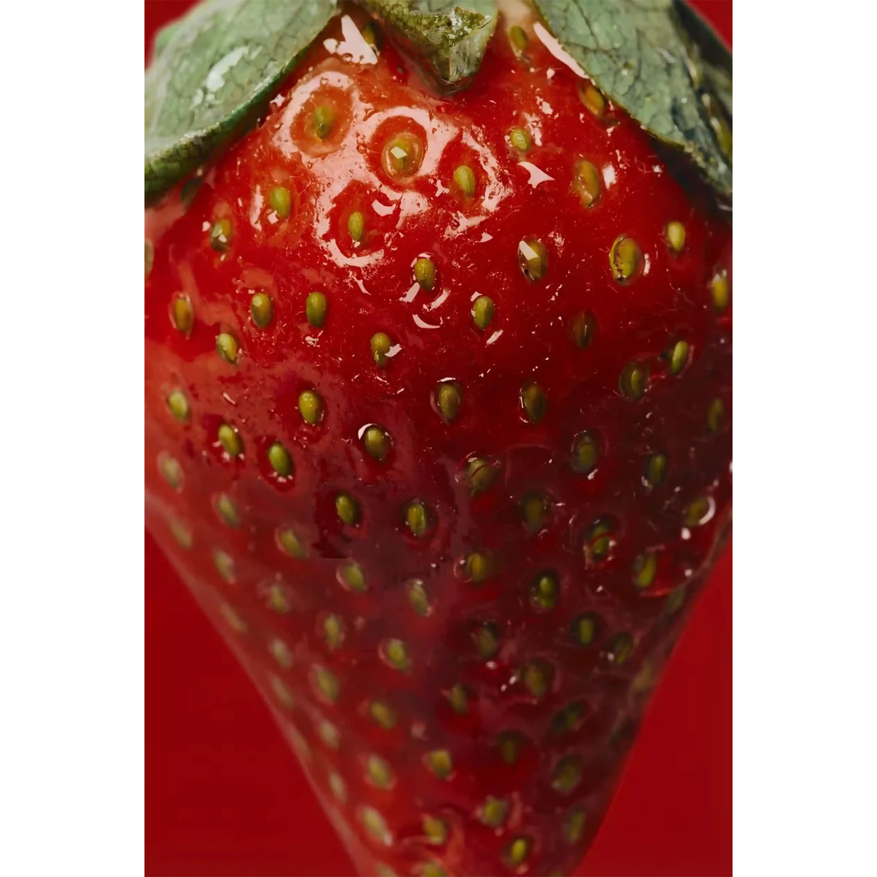 خرید و قیمت ادكلن زارا Zara Strawberry Dress Weekend Collection 90ml