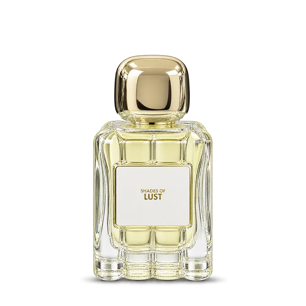 خرید و قیمت ادكلن زارا Zara Shades Of Lust 100ml