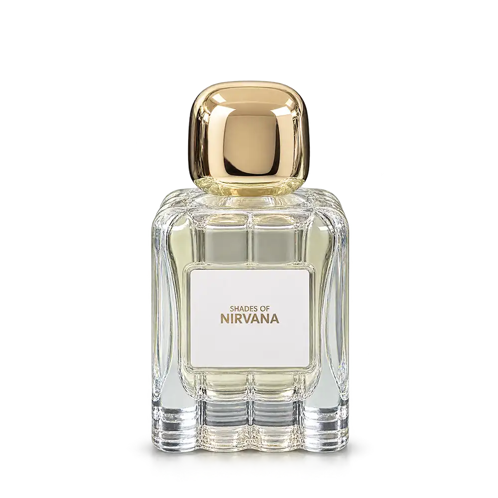 خرید و قیمت ادكلن زارا Zara Shades Of Nirvana 100ml