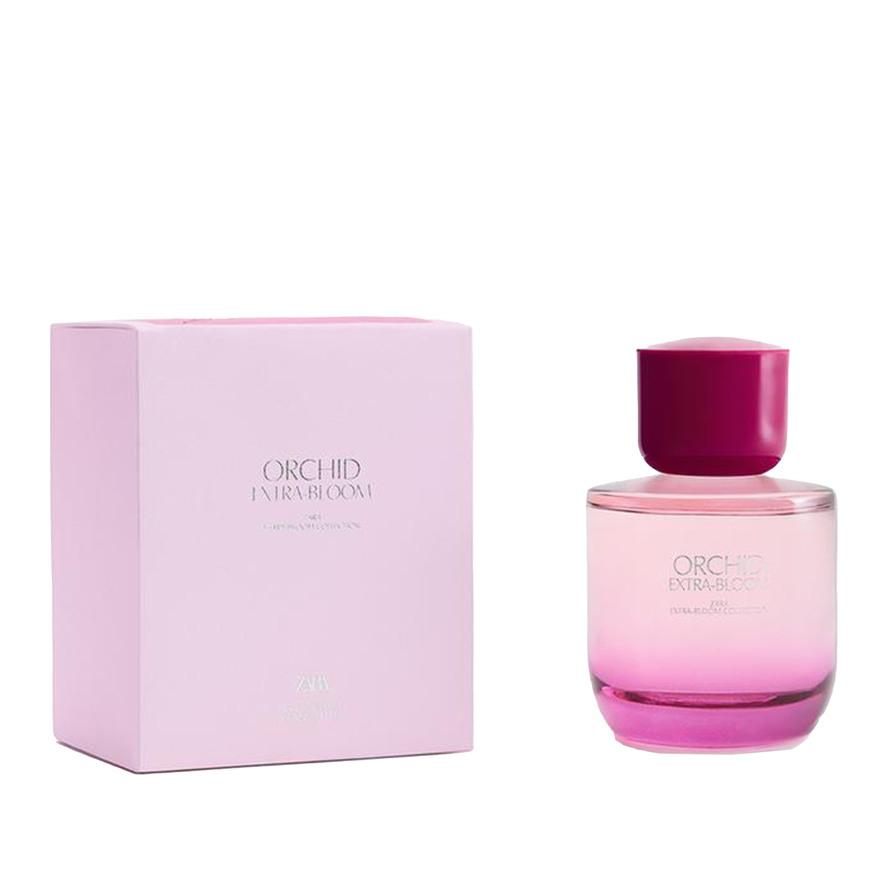 خرید و قیمت ادکلن زارا Orchid Extra-Bloom