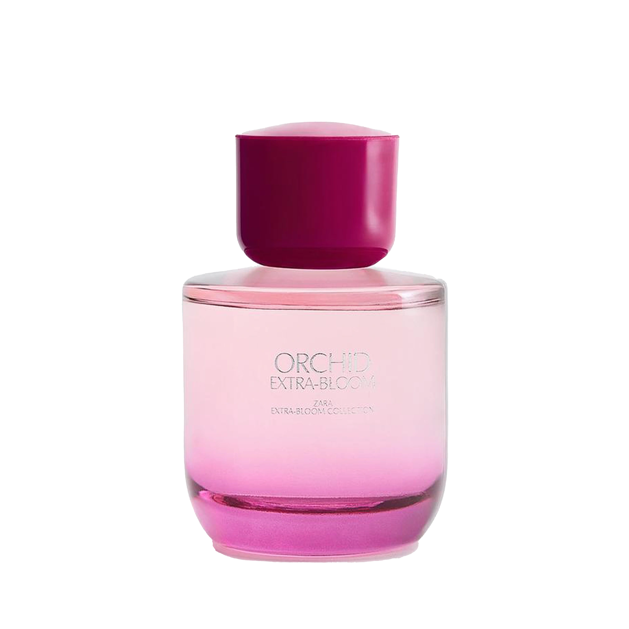 خرید و قیمت ادکلن زارا Orchid Extra-Bloom